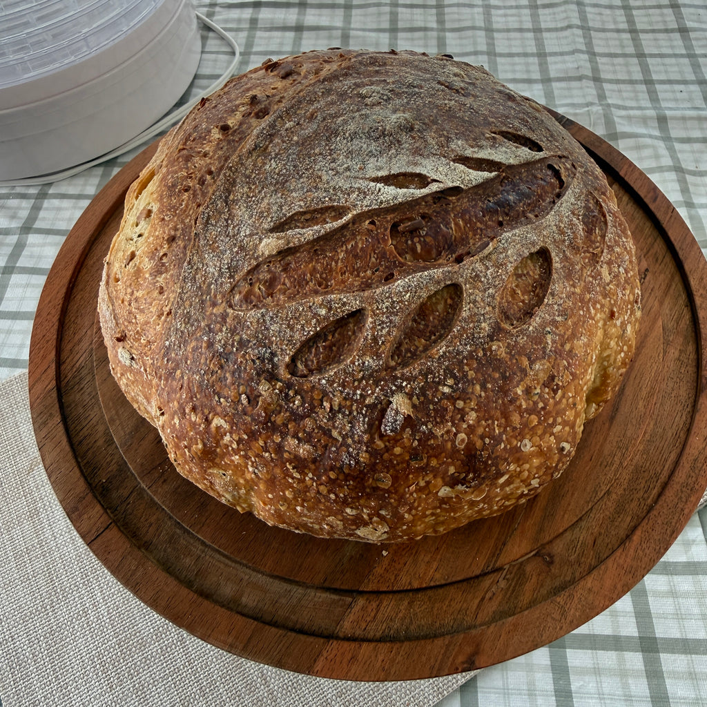 Harvest Protein Sourdough