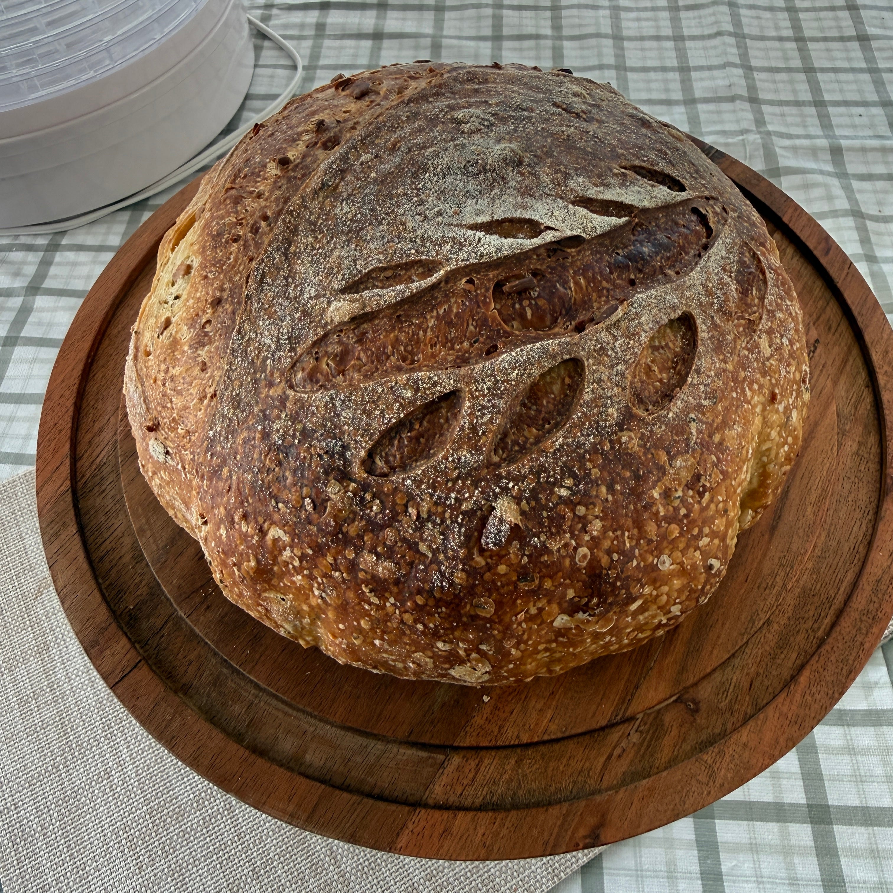 Harvest Protein Sourdough