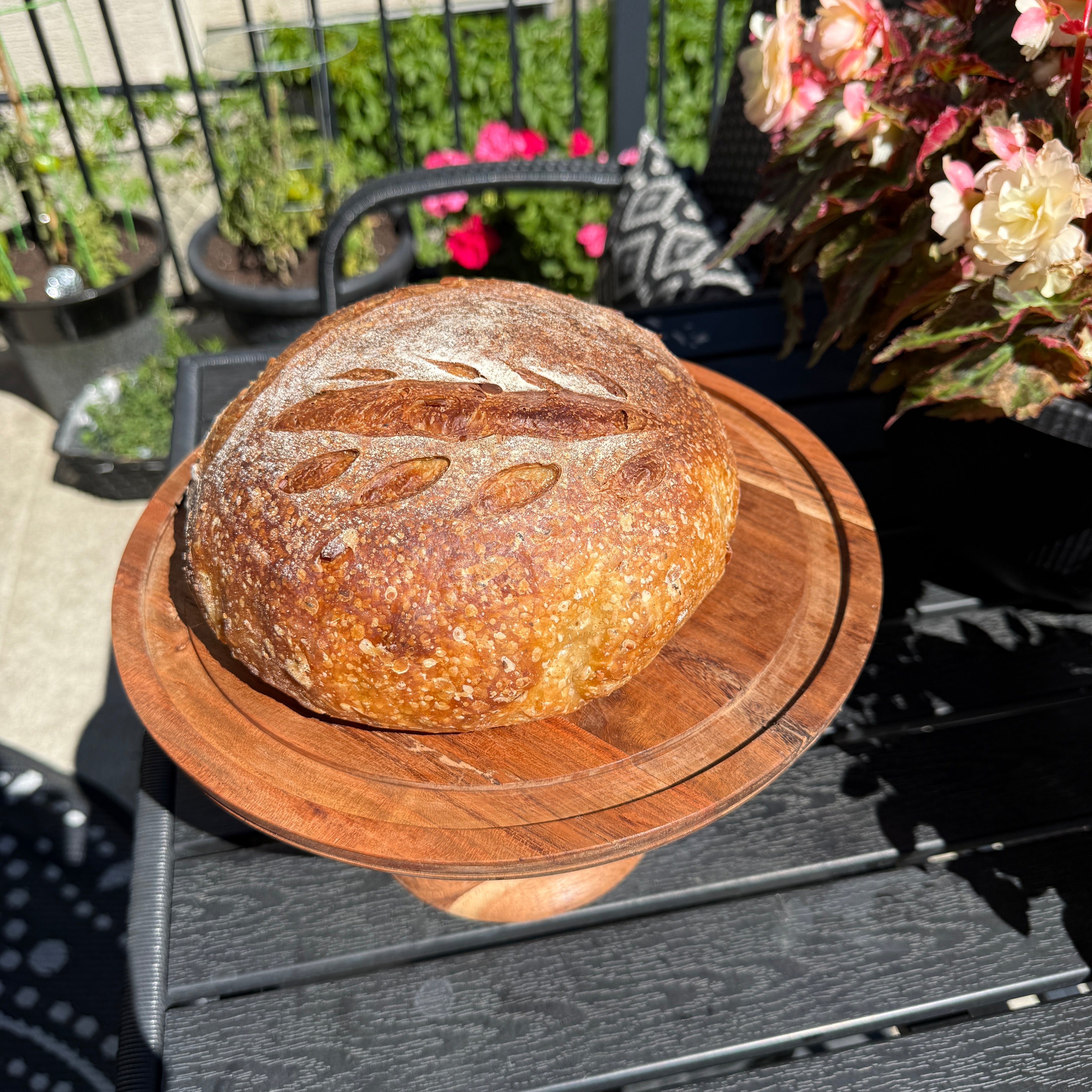 Harvest Protein Sourdough