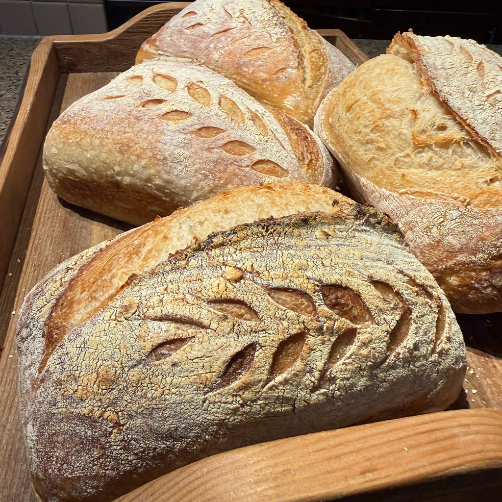Harvest Protein Sourdough